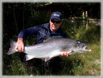 Atlantic salmon 3